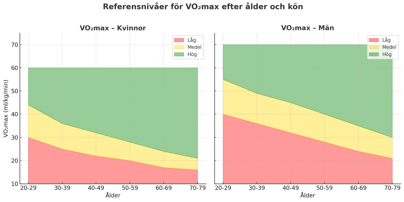 Referensnivåer för VO2max efter ålder och kön